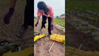 Agriculture Farming farming newtechnologyideas agriculturelife agriculture machines [upl. by Airamahs]