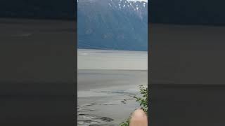 Turnagain Arm Bore Tide alaska nature [upl. by Siuqaj]