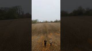 Cotswold countryside 🍃❄️ cotswoldvillages walk countryside countrywalk aggriculture farming [upl. by Drugge404]