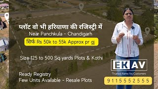 Haryana Registry Plots near panchkula panchkularegistry dlf tridentplots chandigarhproperty [upl. by Cliffes337]