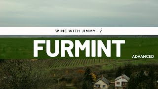 Grape Varieties  Furmint Advanced Version ideal for WSET L3 and 4 [upl. by Anyek218]