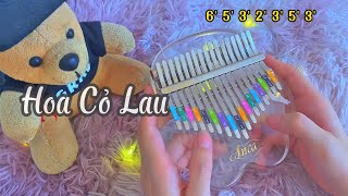 Hoa Cỏ Lau  Kalimba Cover [upl. by Clerissa]