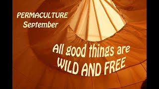 PERMACULTURE  September  SAVE THE WILD [upl. by Siurtemed]