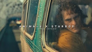 Animals x Starboy  Full Version  Aviral Kapasia  SlowedReverb [upl. by Suzy]