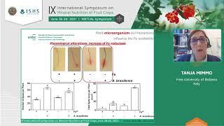 Rhizosphere dynamics plantsoilmicroorganisms interactions triggering nutrient  Tanja Mimmo [upl. by Naiva364]