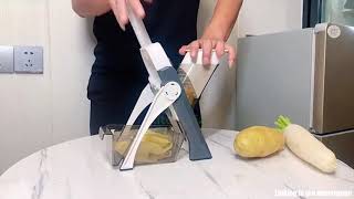 5 in 1 Vegetable Cutter Review 2021 Does It Work？ [upl. by Devy]