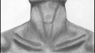 How to draw a realistic mans neck with graphite pencils graphitepencildrawing neck [upl. by Lesab]