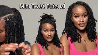 HOW TO MINI TWISTS  SPRINGY AFRO TWIST  Easy protective style with springy afro twist hair [upl. by Oimetra]