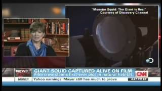 Giant squid captured alive on film January 27 2013 [upl. by Ikilisav]