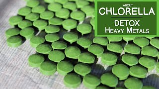 Learn About Chlorella Algae and How It May Help Detox Heavy Metals [upl. by Purvis]