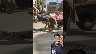 Niyam ka follow Karo tranding viralvideo funny automobile rider comedy [upl. by Lesko688]