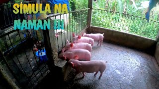 MAGSIMULA NA NAMAN TAYO KAOINK2X  TERZAGHI TV [upl. by Down]