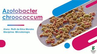 Azotobacter chroococcum [upl. by Onitsoga]