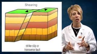 Types of Faults [upl. by Atniuq]