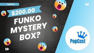 We Bought a 200 PopKingPaul Funko Mystery Box Was It Worth It [upl. by Llewop]