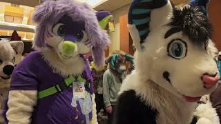 Anthro New England 2024 Fursuit Parade from the INSIDE PERSPECTIVE [upl. by Goddart]