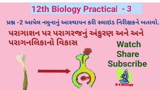 12th Science Biology Practical 3  પરાગાશન પર પરાગનલિકાનો વિકાસ [upl. by Ong]