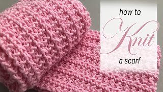 How to Knit a Scarf Easy Step by Step ✨ [upl. by Bill490]