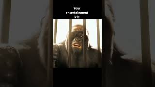 Dr Dolittle viralvideo viralreels yiutubeshort support youtubesupport [upl. by Luckin]