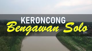 Keroncong  Bengawan Solo Cipt Gesang [upl. by Ayatnohs589]