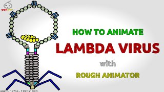 HOW TO ANIMATE LAMBDA VIRUS with RoughAnimator lambdavirus roughanimator lambdavariant [upl. by Steward732]