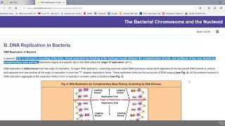 The Bacterial Chromosome and Nucleoid [upl. by Nasas526]