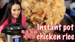 One instant pot Chinese chicken rice 快煲电压力锅鸡肉饭 [upl. by Eillil34]