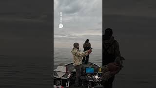 Big and tall Smallmouth on Mille Lacs Lake 🐟💥 shorts fishing smallmoutharmy bassfishing [upl. by Oric230]