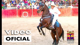 Caballos de Paso Peruano Bailando 2017 Video Oficial Full HD Tania Producciones✓ [upl. by Learrsi386]