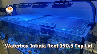 The Best Light and Lid Setup for Waterbox Infinia Reef 1905 [upl. by Anawot]