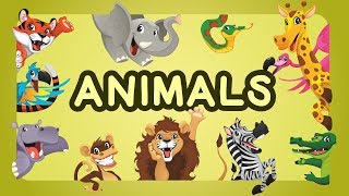 Teaching Animals Video for Toddlers  Animals Names For Children  English Learn Animals With Names [upl. by Iznyl]