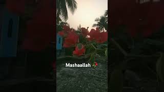 Mashaallah koto sundor konthomasahallah ®√π unfrezzmyaccount short video vhiralvideo ☺️☺️ [upl. by Lisab301]