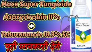 Mace Super Fungicide Azoxystrobin 11 Tebuconazole 183 SC Full Details 👈😱🇮🇳👍🙏 [upl. by Corly]