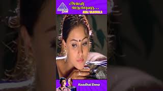 Kaadhal Enna Video Song  Aval Varuvala Movie Songs  Ajith  Simran  SA Rajkumar  ytshorts [upl. by Eerbua764]