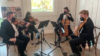 Intl Players Anthem I Choose You  UGK String Quartet Cover [upl. by Zilvia]