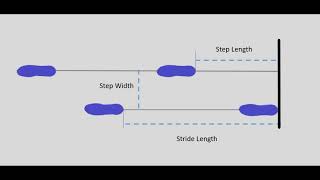 Understanding the Basics of Gait [upl. by Nannette]