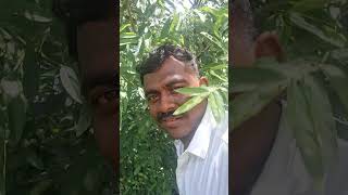 tamiltrending schoollife plants tamil [upl. by Besnard377]