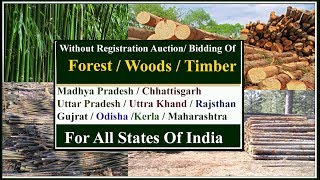 Timber Tender Auction Without Any Registration लकड़ी के टेंडर [upl. by Mistrot114]