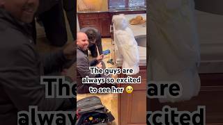 I think my parrot is breaking things 😂 cockatoo parrot funny birds adoptdontshop [upl. by Cleodel935]