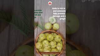 Benefits of Amla Gold Hair Oil for Hair Growth and Health IndiaAtHomeStore [upl. by Ytineres]