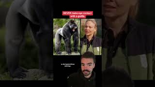 She made eye contact with a gorilla then WHAT happened morbidfacts [upl. by Mit]