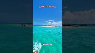 Things to do in Zanzibar travel africansafari africanbeach youtubeshorts moreviews [upl. by Trojan569]