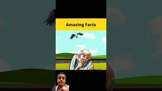 Ep 1 top 3 amazing facts cartoon storybeast animation story kahani amazingfacts [upl. by Acyssej]