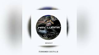 Ay Lupita  Lomiiel amp Fernando Castillo   House Remix   DBeach [upl. by Alliw]