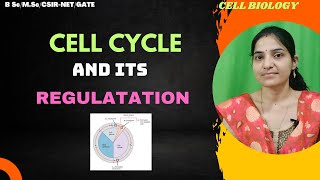 Cell cycle And Its Regulations BSc 1st YearCheck PointsCell [upl. by Anaoj]