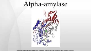 Alphaamylase [upl. by Oos78]