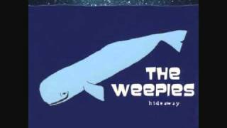 The Weepies  Antarctica [upl. by Egreog582]