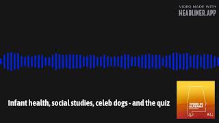 Infant health social studies celeb dogs  and the quiz [upl. by Adaminah]