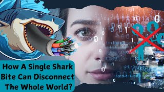 Science Behind Sharks Attack Undersea Internet Cables A DeepSea Mystery Actual Story Of Attacks [upl. by Lathe]