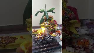 Satyanarayan Katha 🙏 hindu hindufestival [upl. by Scotti]